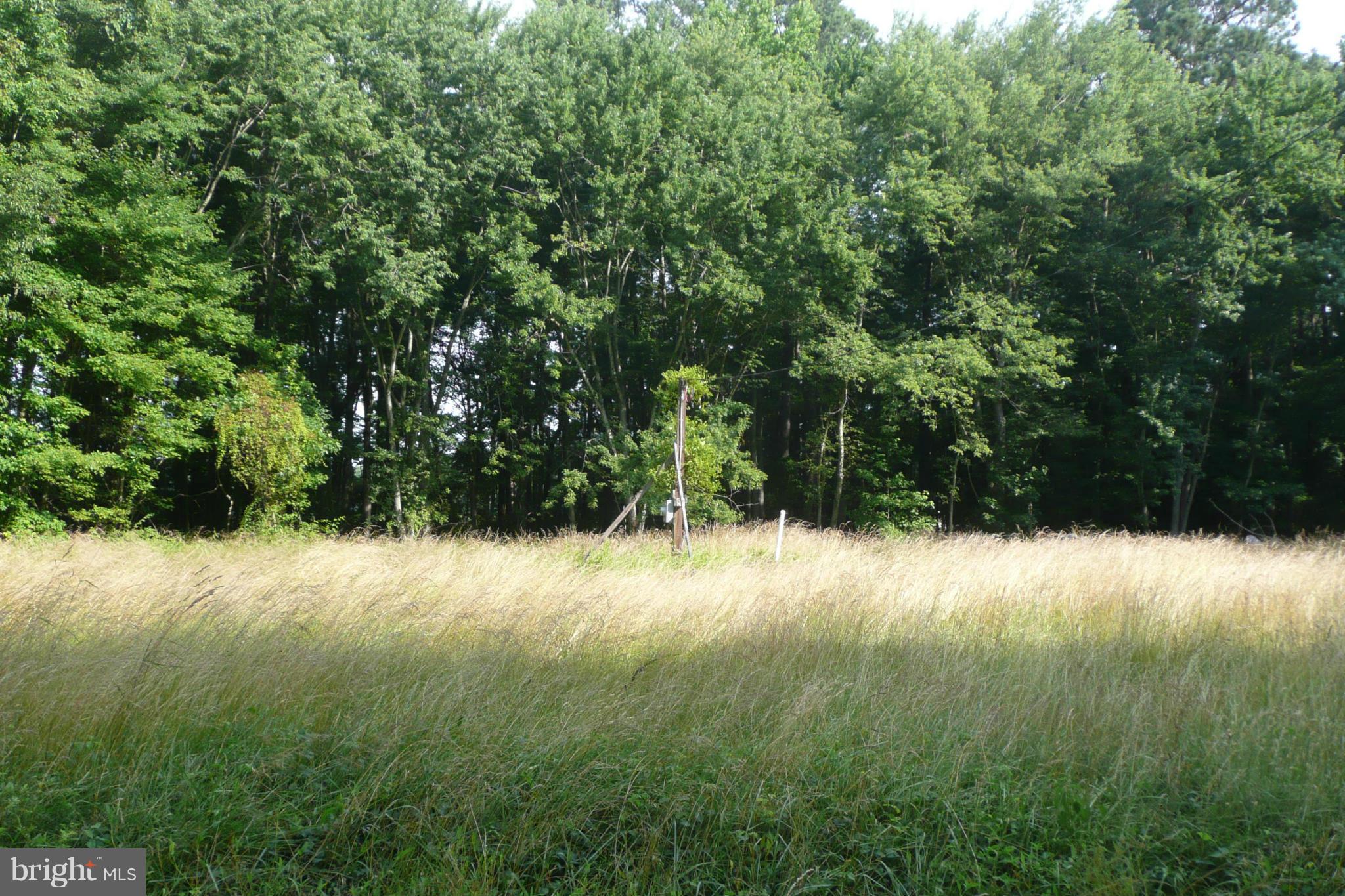 28896 Sanderstown Road Trappe, MD 21673 - Photo 4 of 9 View