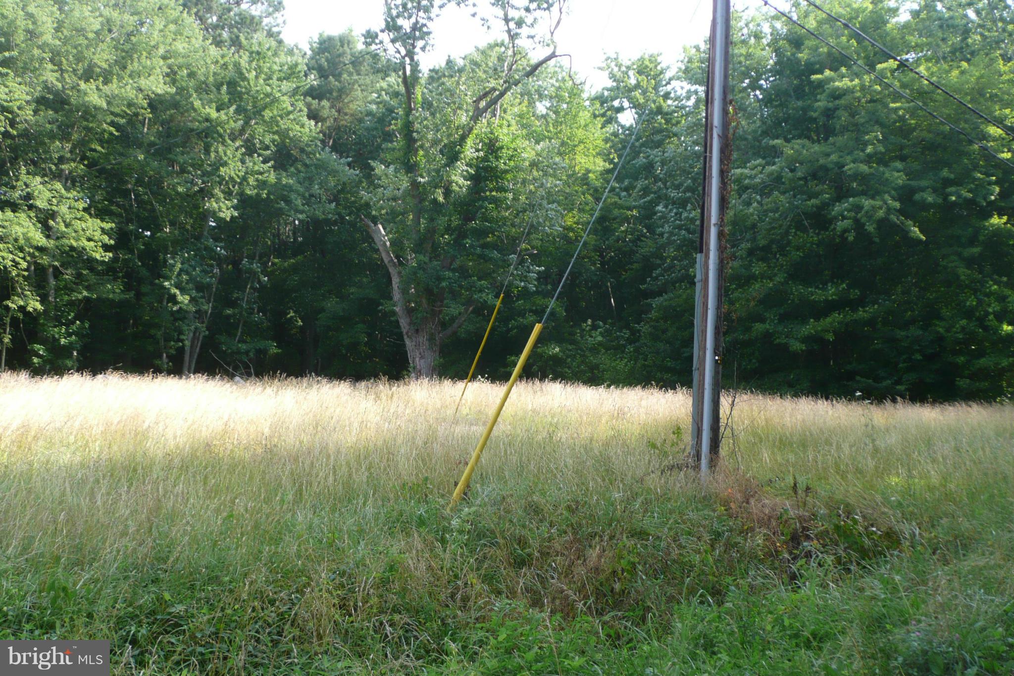 28896 Sanderstown Road Trappe, MD 21673 - Photo 5 of 9 View
