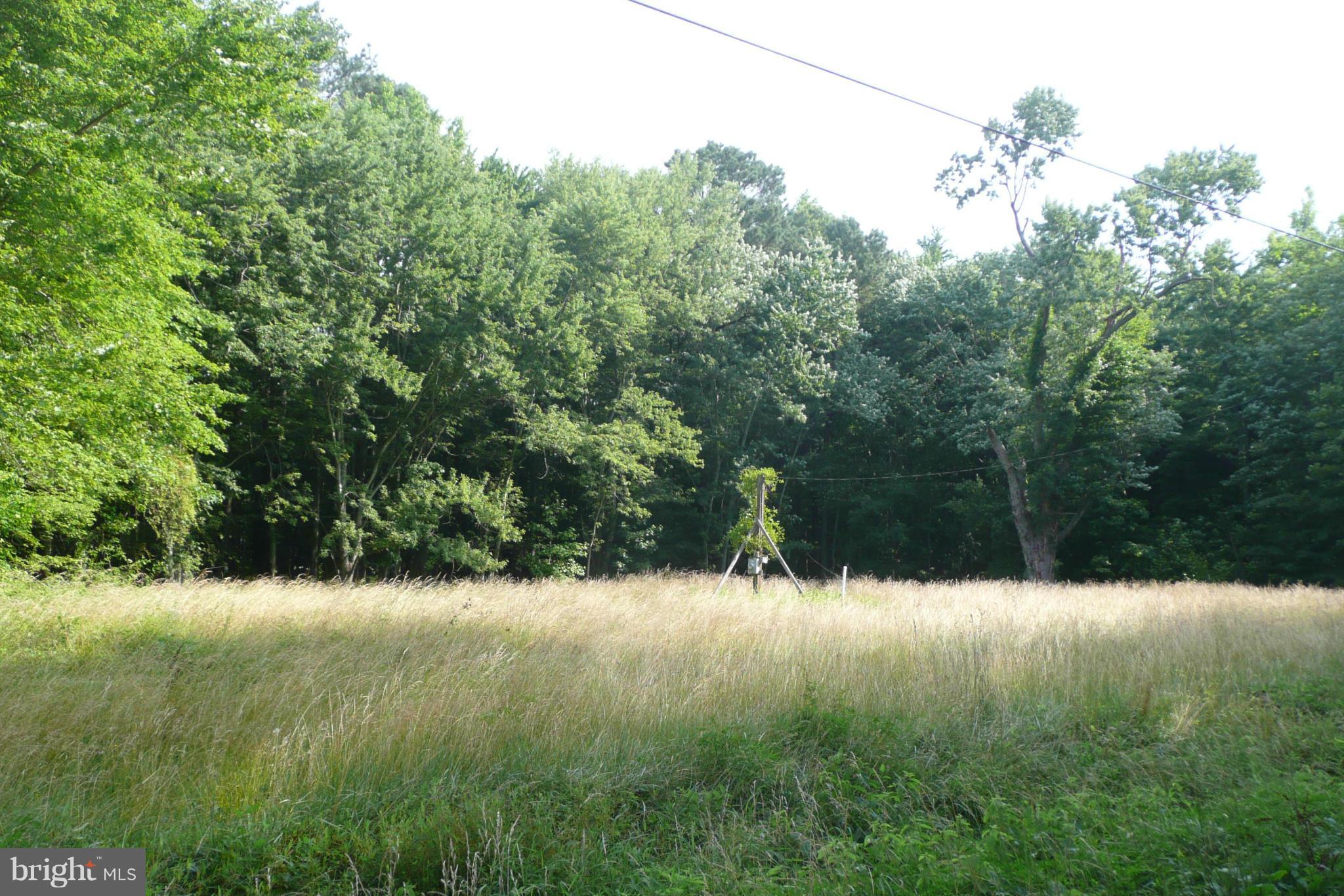 28896 Sanderstown Road Trappe, MD 21673 - Photo 6 of 9 View