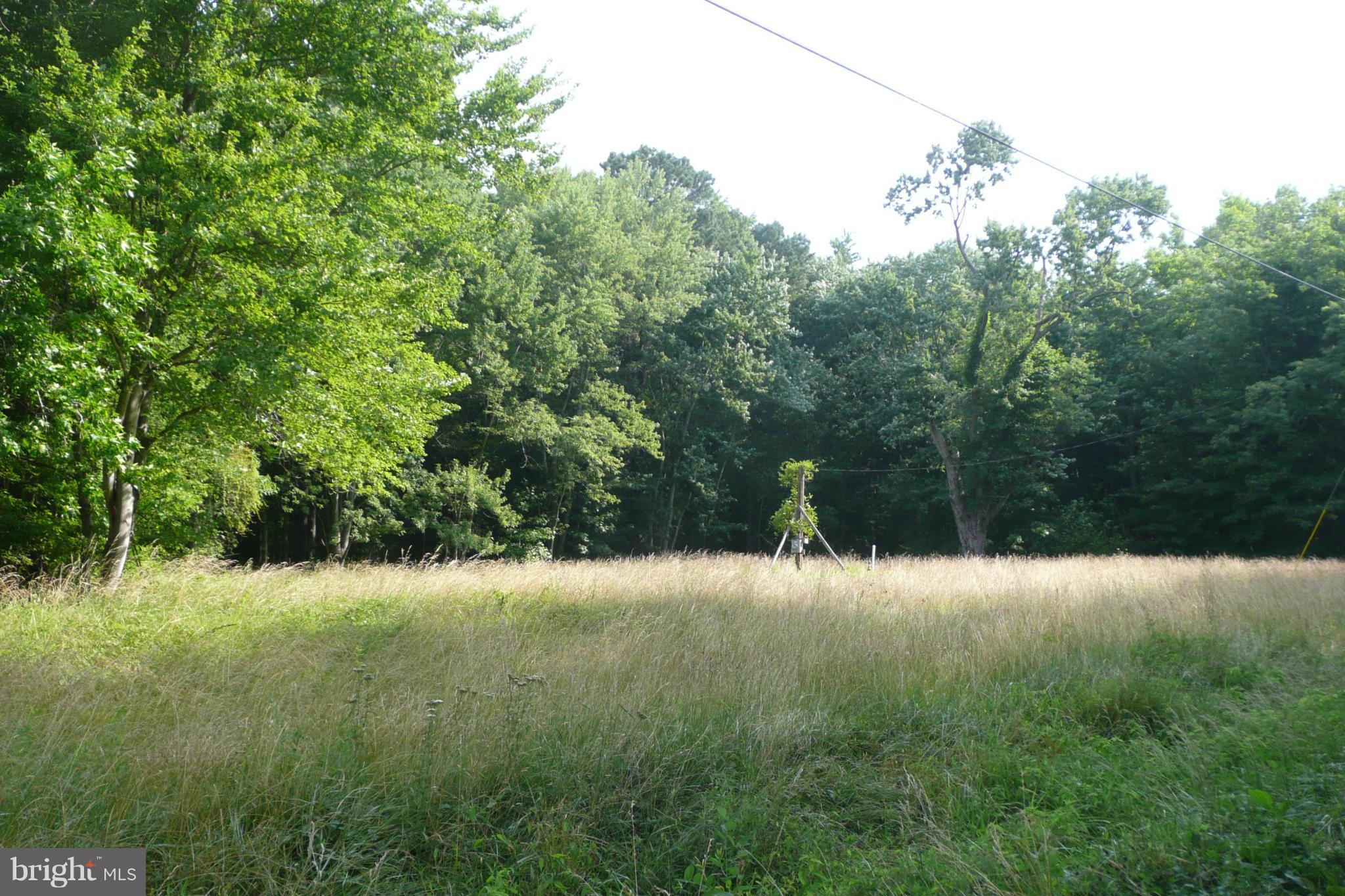 28896 Sanderstown Road Trappe, MD 21673 - Photo 8 of 9 View