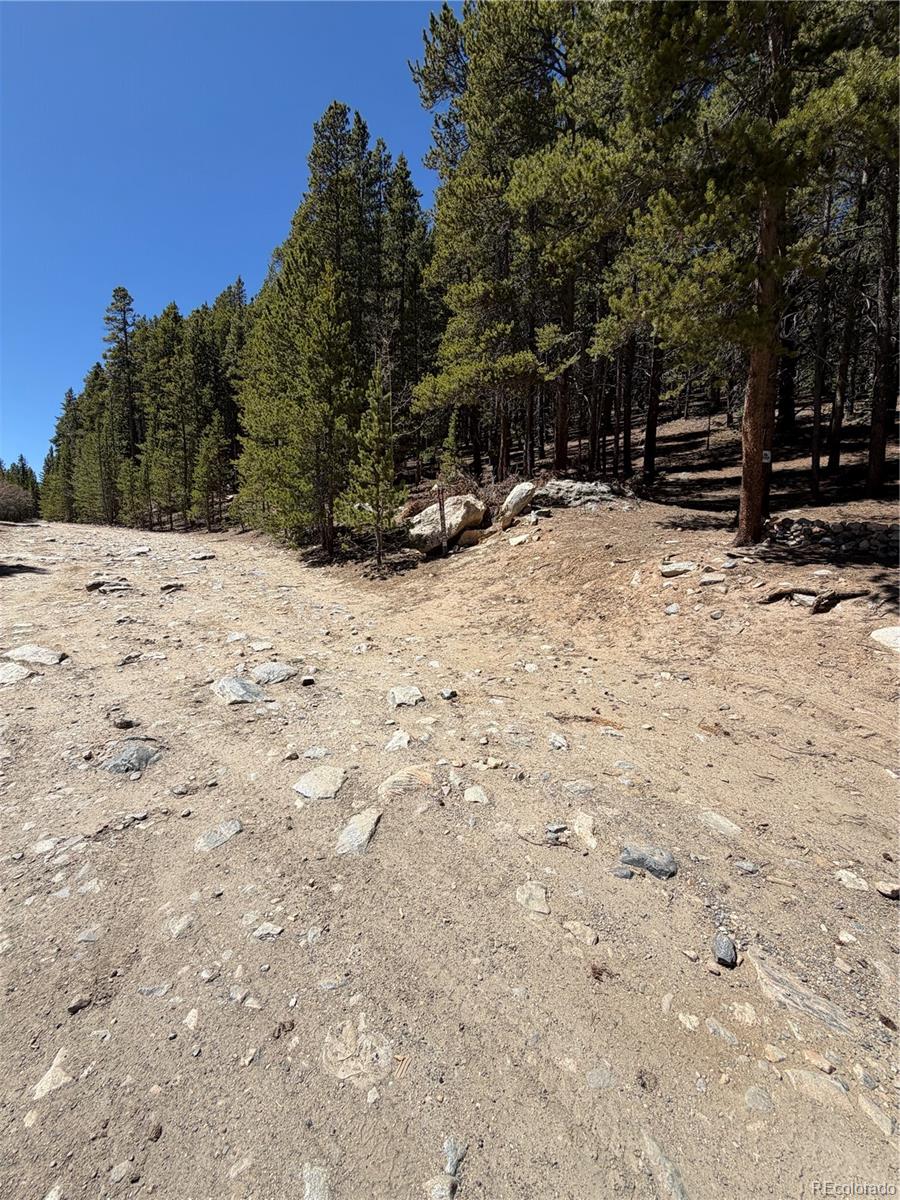 Lot 378 Alice Road Idaho Springs, CO 80452 - Photo 21 of 26 a view of outdoor space with trees