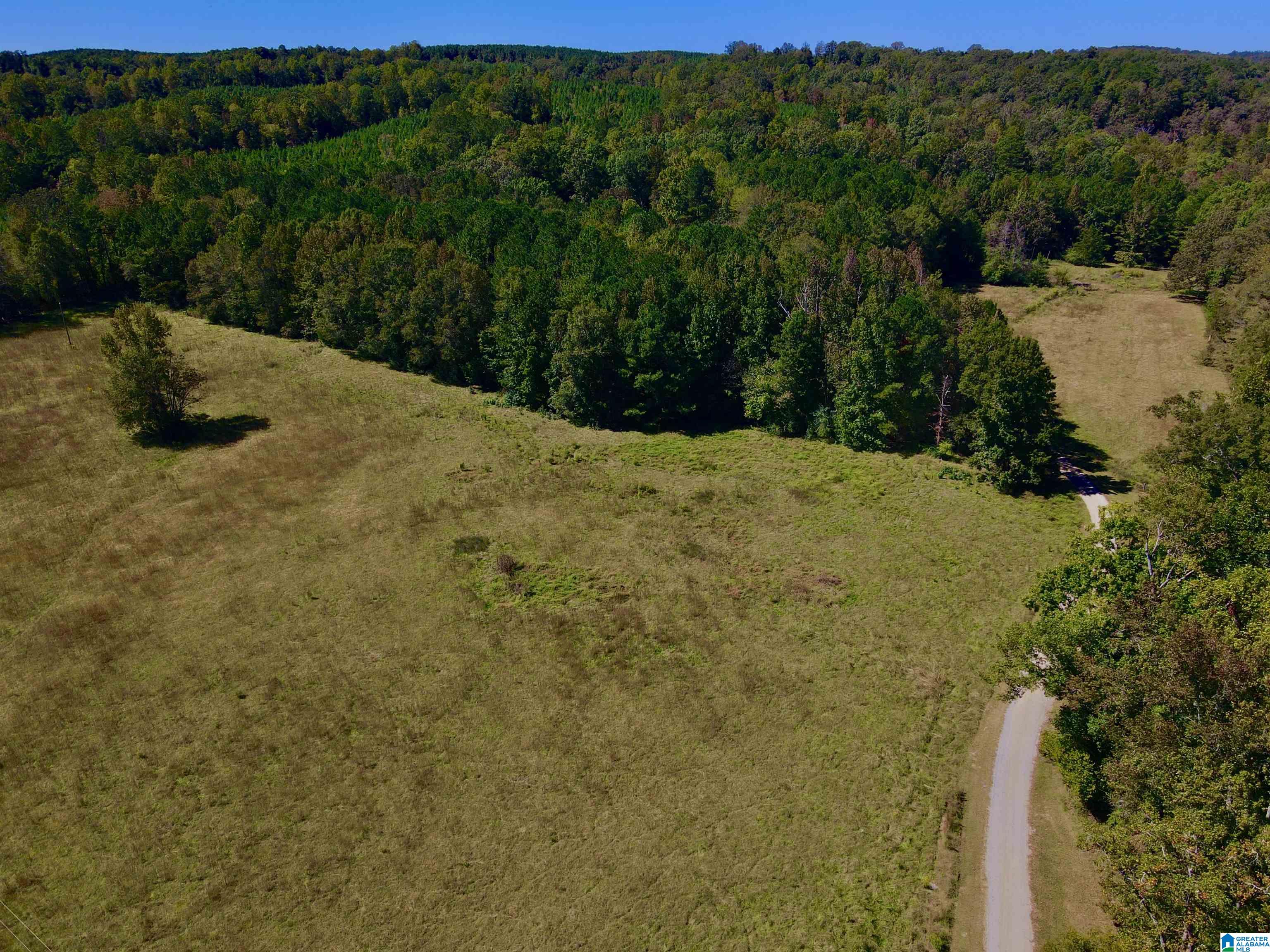 263 Pebble Road Montevallo, AL 35115 - Photo 41 of 50