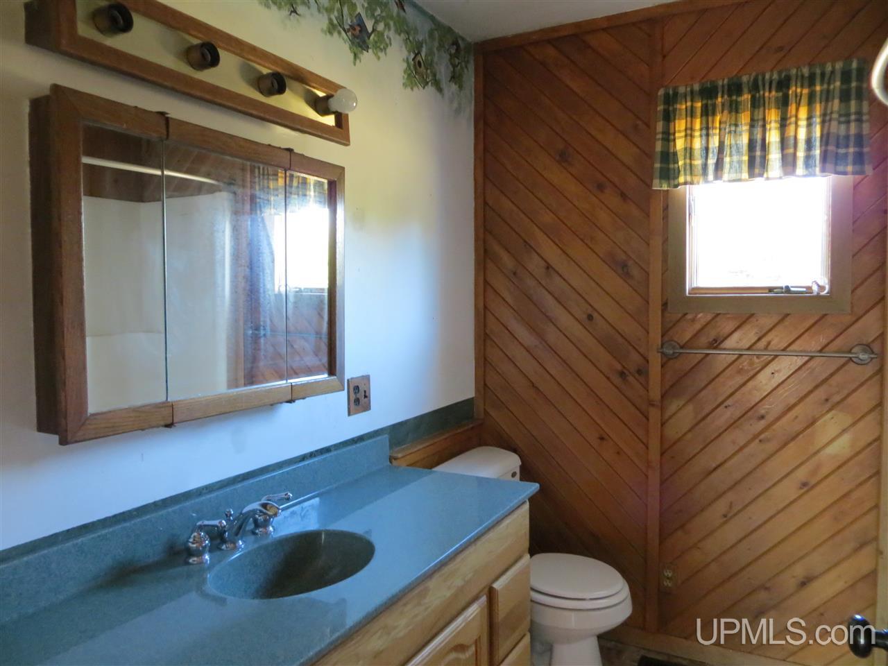 6843 Caps Creek Road Republic, MI 49879 - Photo 9 of 30