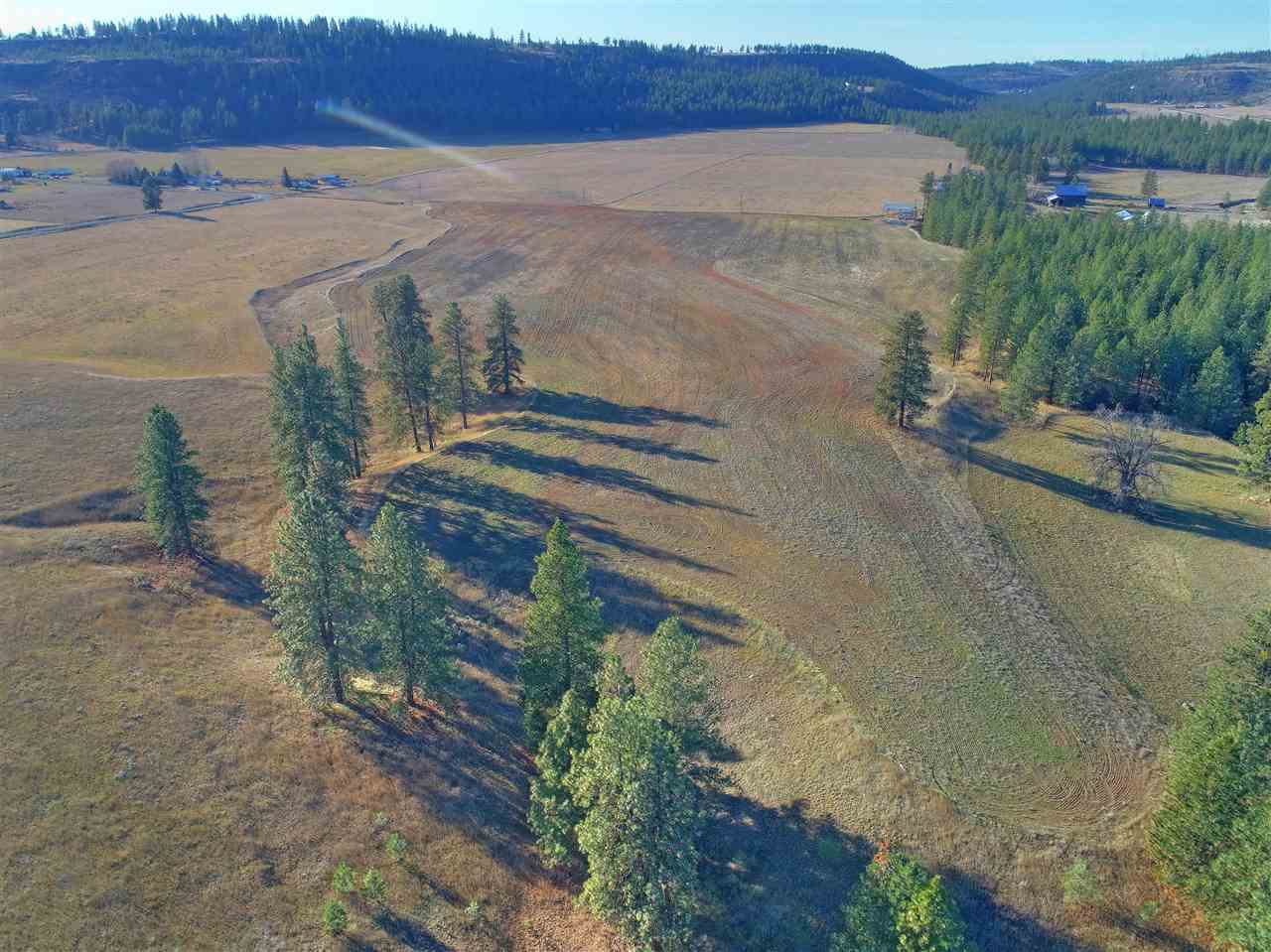 Seven North Mile Road, Unit PARCEL D Spokane, WA 99224 - Photo 12 of 20