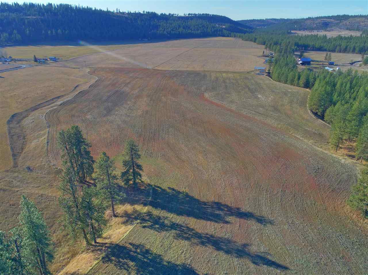 Seven North Mile Road, Unit PARCEL D Spokane, WA 99224 - Photo 13 of 20