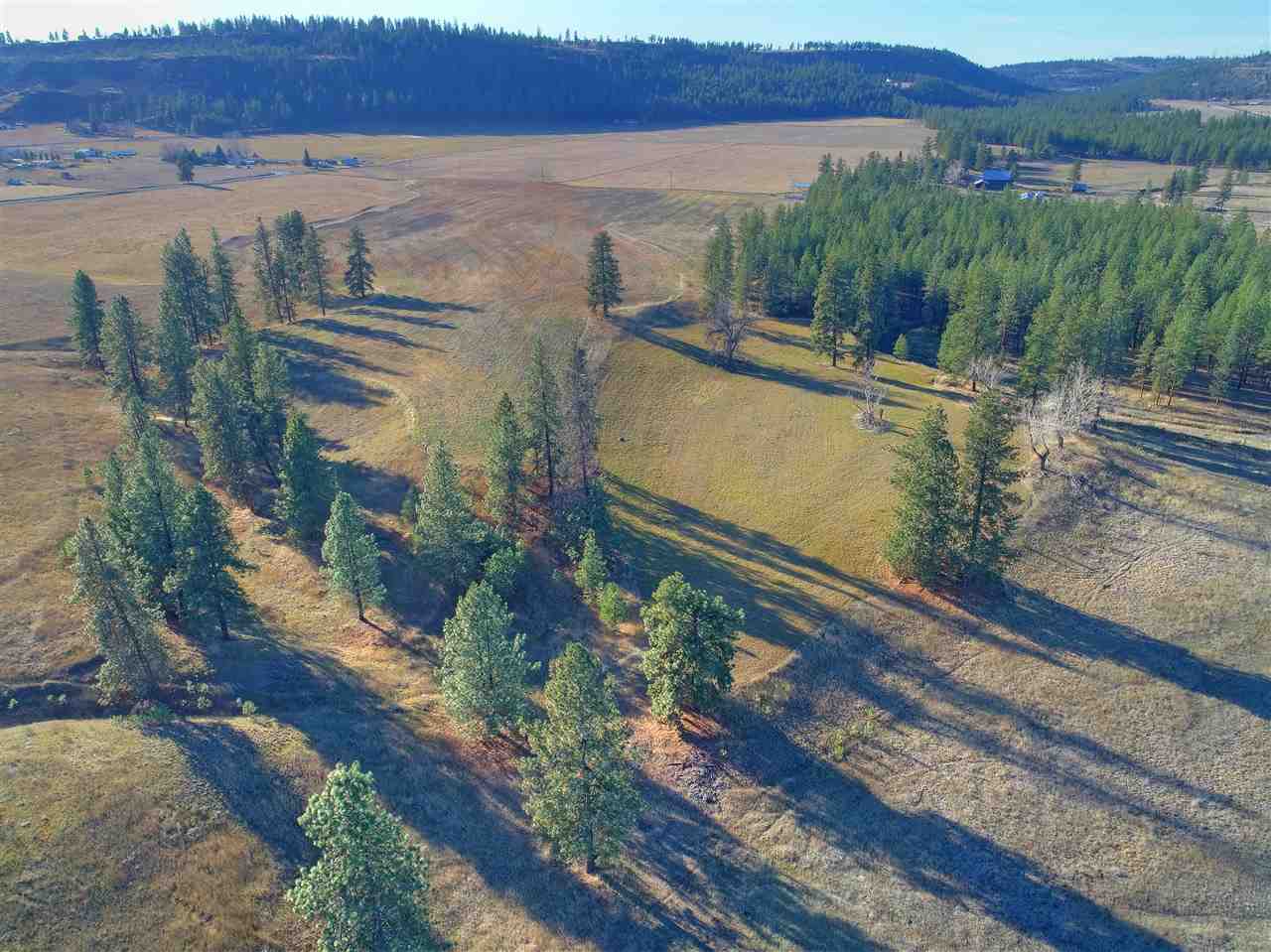 Seven North Mile Road, Unit PARCEL D Spokane, WA 99224 - Photo 5 of 20