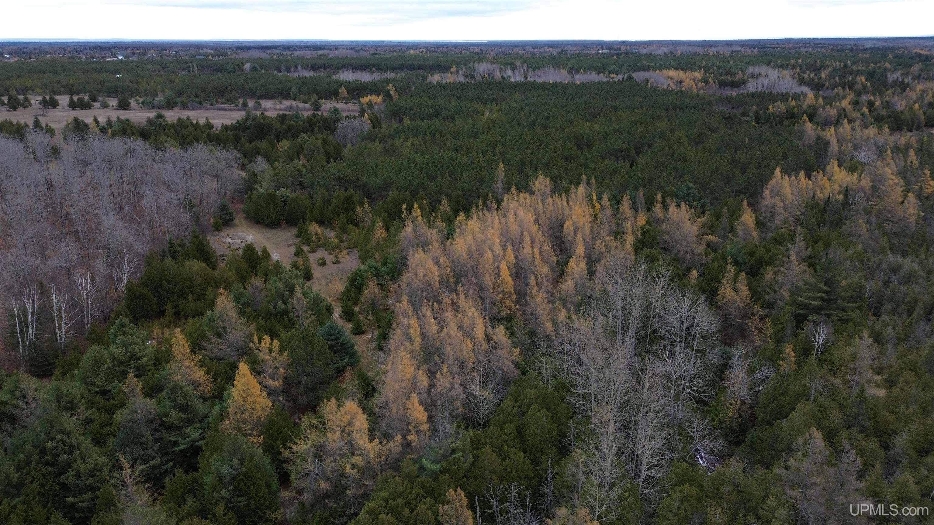 Tbd Tbd Appleford Road Moran, MI 49760 - Photo 20 of 24