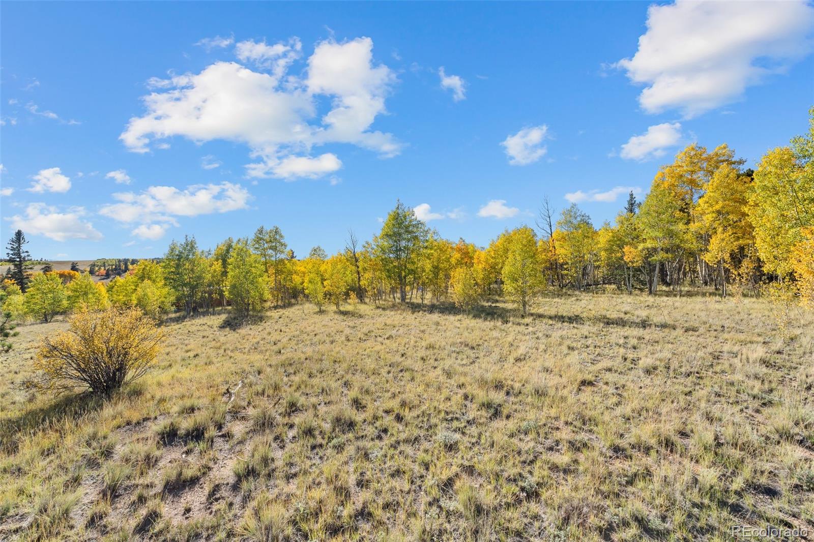 1404 Buffalo Ridge Road Como, CO 80432 - Photo 48 of 50