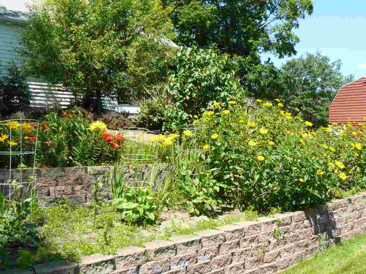 7993 Schell Road Buckley, MI 49620 - Photo 44 of 44 1787903-43.JPG