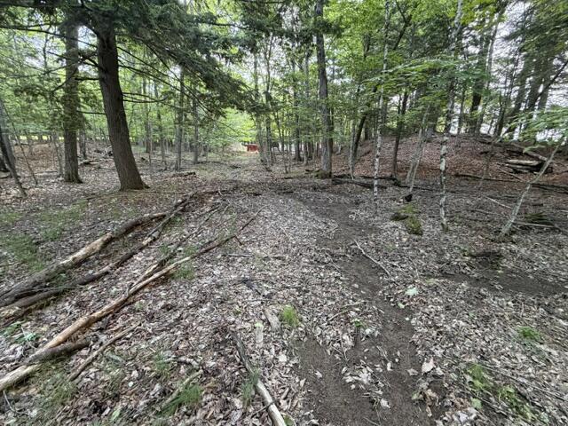 10 Black Point Road Beaver Cove, ME 04441 - Photo 15 of 16 IMG_0833