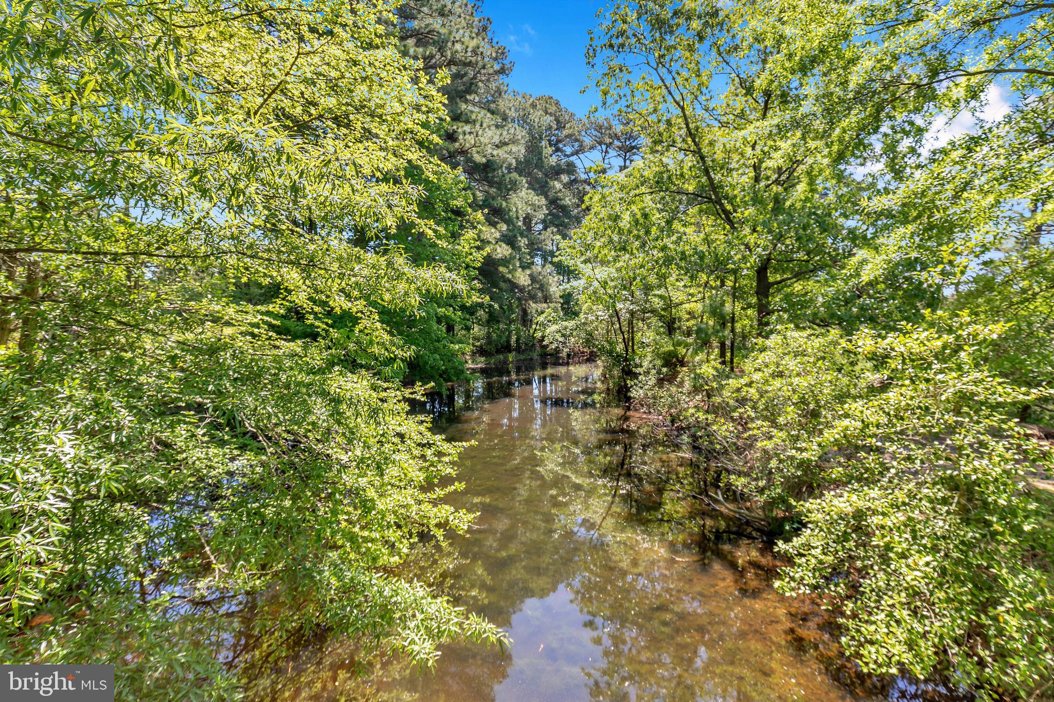 3325 Redden Ferry Road Eden, MD 21822 - Photo 46 of 64