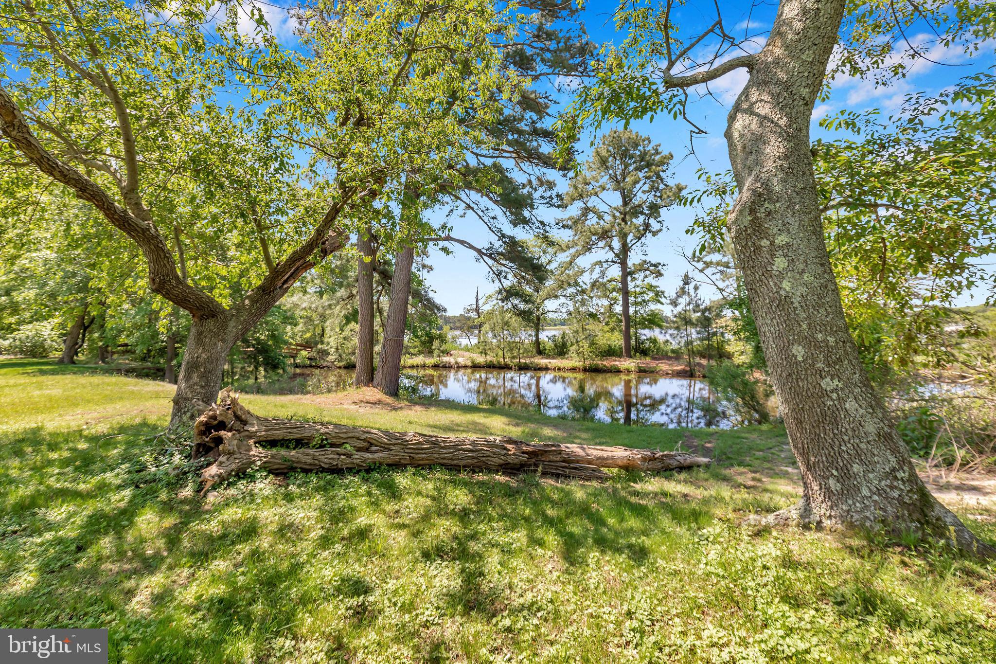 3325 Redden Ferry Road Eden, MD 21822 - Photo 52 of 64