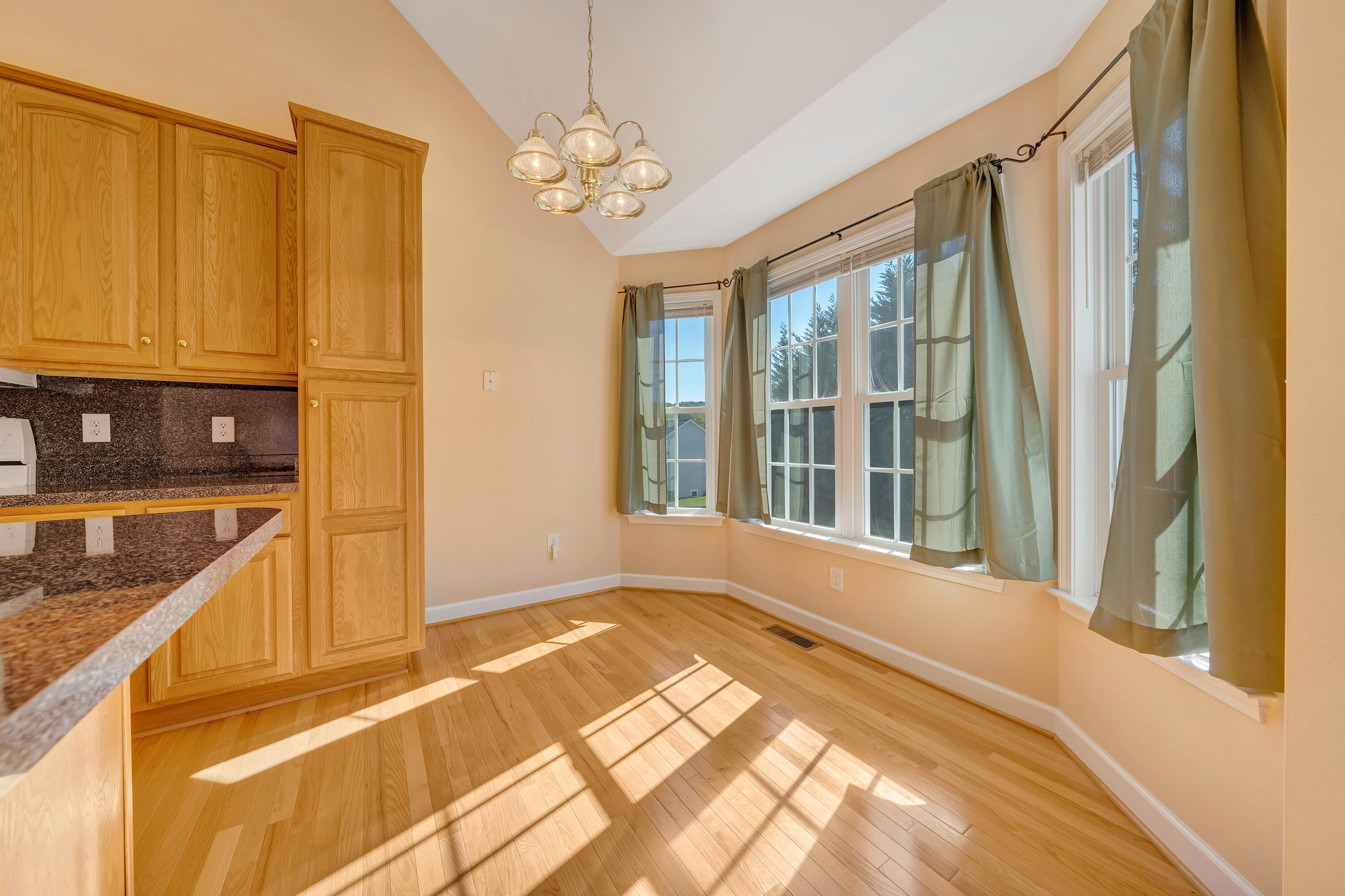 600 Castleridge Road Vinton, VA 24179 - Photo 11 of 36 09-DSC08478