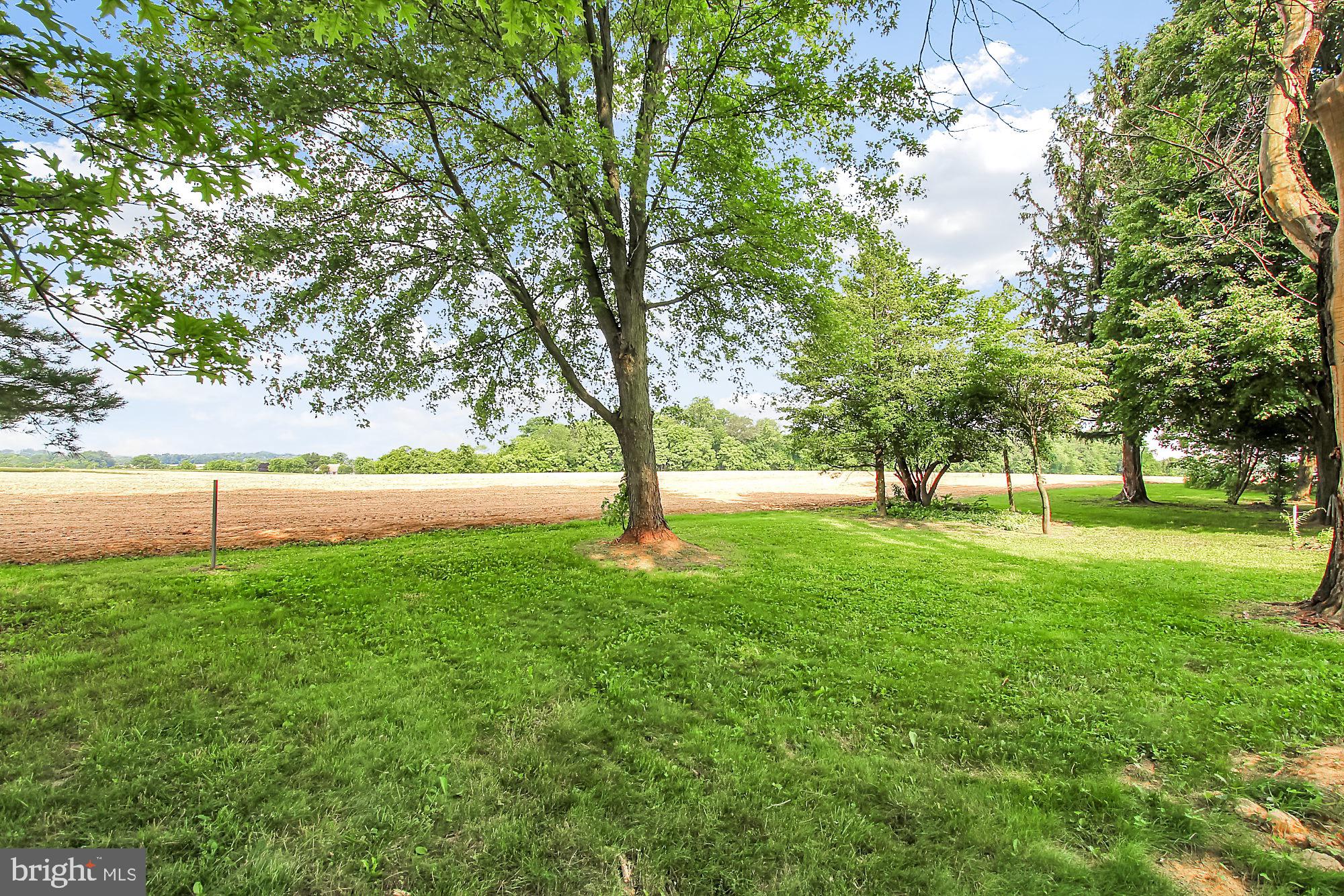 820 Biggs Highway Rising Sun, MD 21911 - Photo 20 of 22 Gallery Image 20