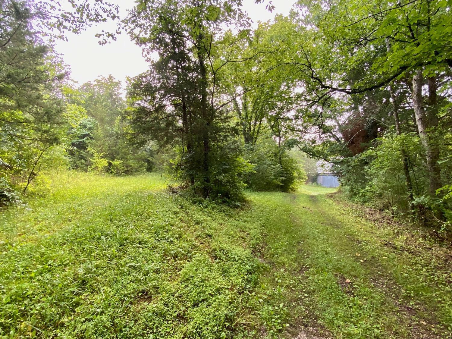 Acre Brier Ridge Road West Union, OH 45693 - Photo 8 of 27