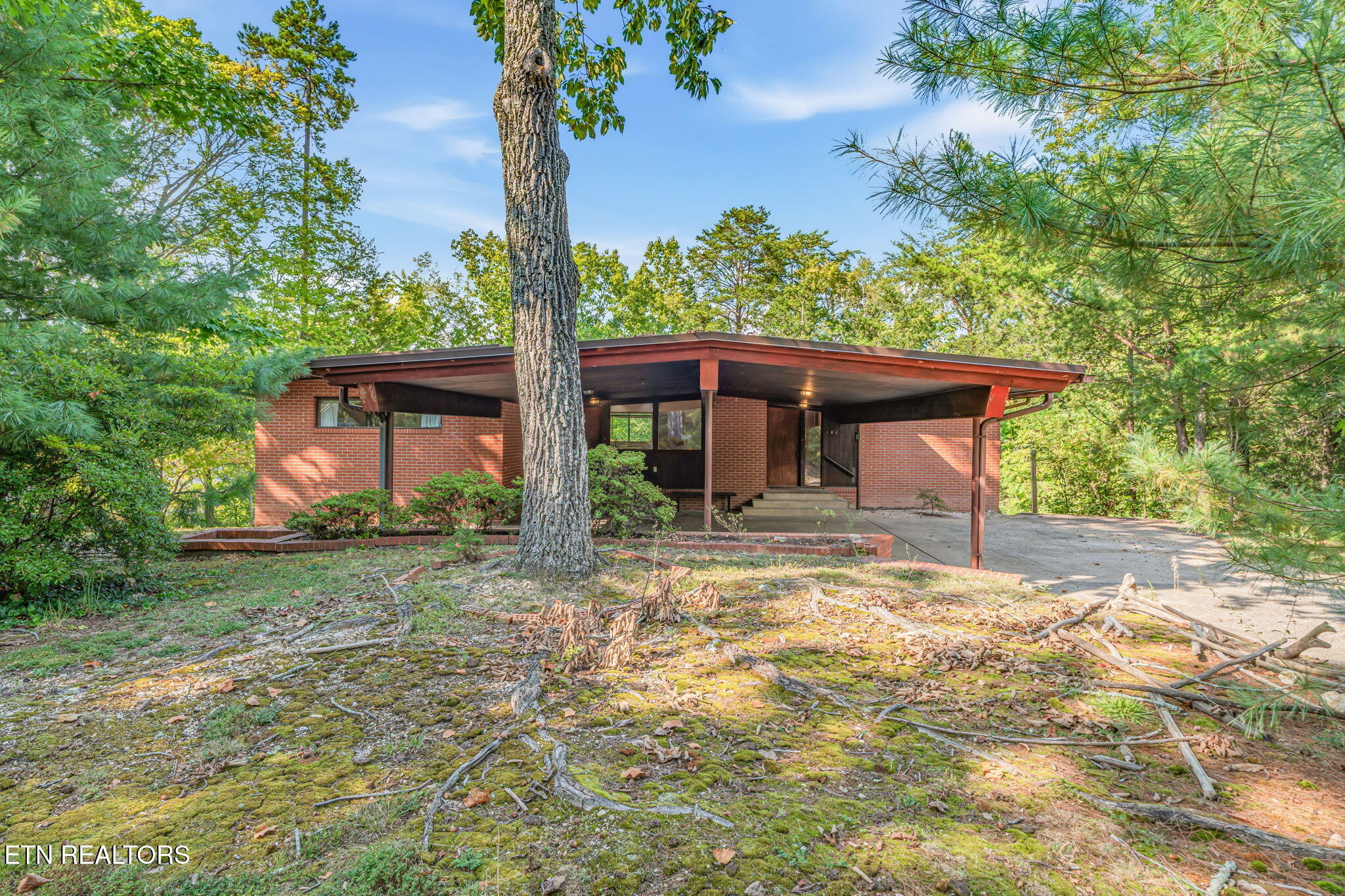 106 Elliott Circle Oak Ridge, TN 37830 - Photo 5 of 57 5-web-or-mls-106 Elliot Circle -4