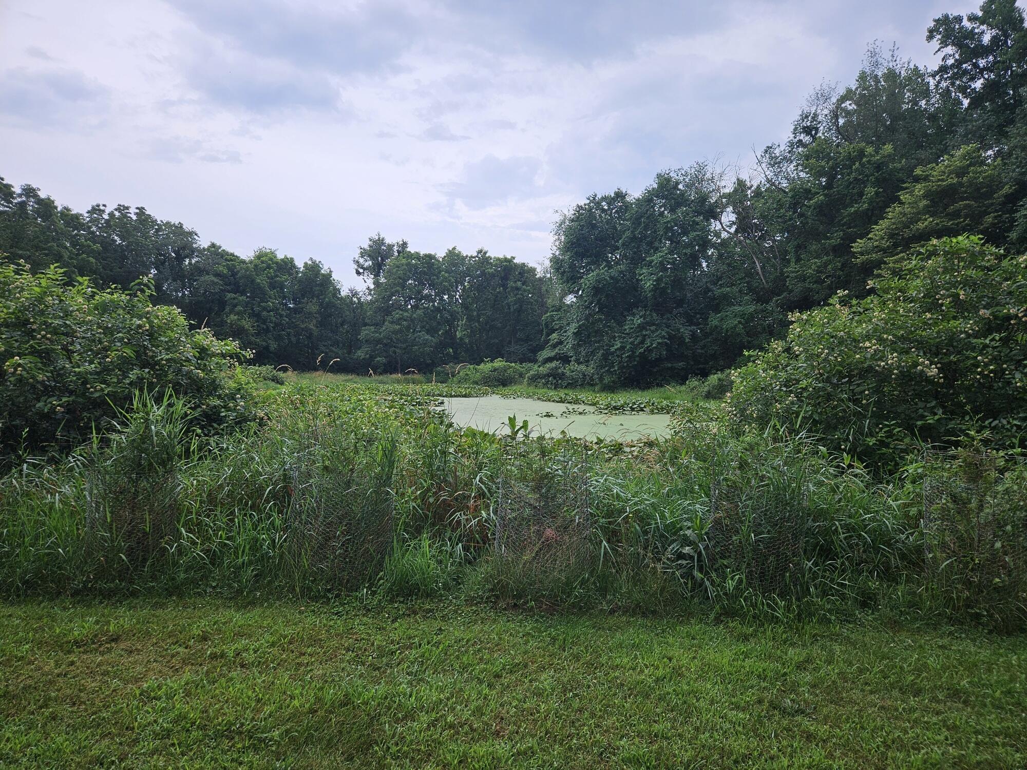 2878 West Small Road La Porte, IN 46350 - Photo 8 of 23 2000x1500