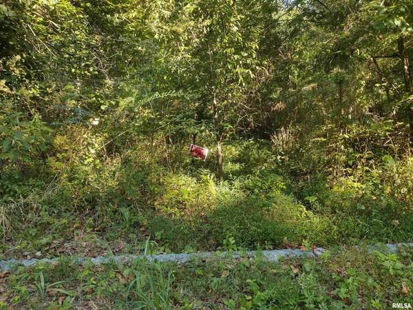 $139,000 | 3830 Gum Springs Road, Ozark, IL 62972