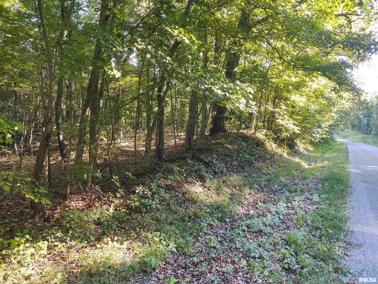 3830 Gum Springs Road Ozark, IL 62972 - Photo 4 of 7