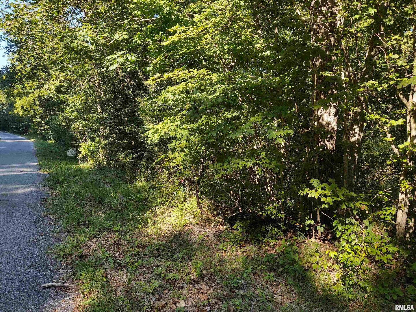 3830 Gum Springs Road Ozark, IL 62972 - Photo 5 of 7