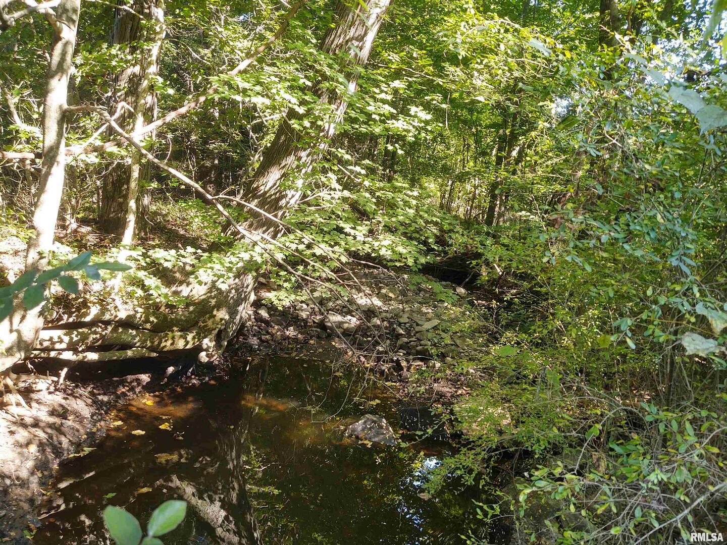 3830 Gum Springs Road Ozark, IL 62972 - Photo 6 of 7