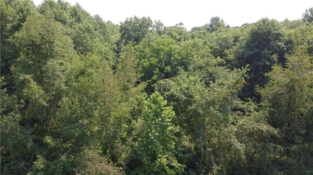 1471 Rosedale Road Rosedale, IN 47874 - Photo 9 of 12