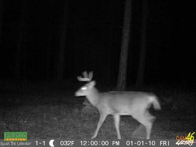 3385 Star Lake Road Star Lake, WI 54561 - Photo 15 of 15 Gallery Image 15