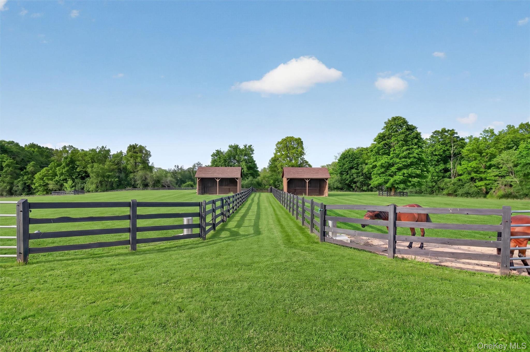 165 Hasbrouck Road Goshen, NY 10924 - Photo 6 of 50 Large grass paddocks with 4 board fencing, deep run-in sheds and automatic waterers provide the best for your horses