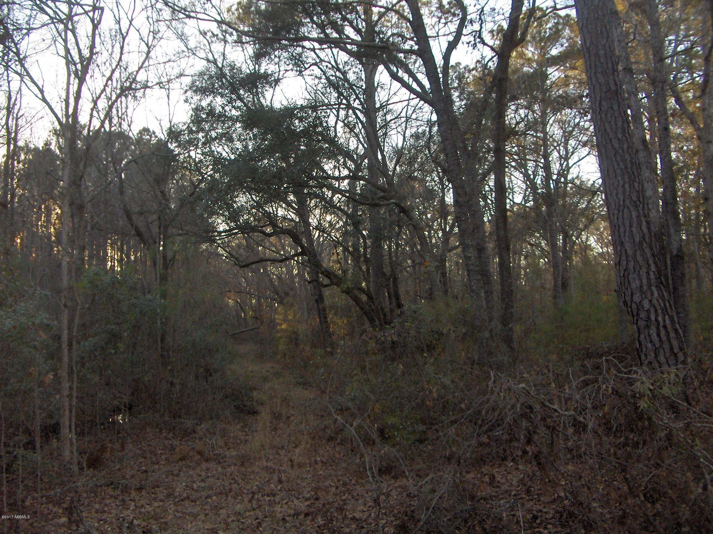 163 Tutens Lndg Road Ridgeland, SC 29936 - Photo 4 of 4 HPIM6484