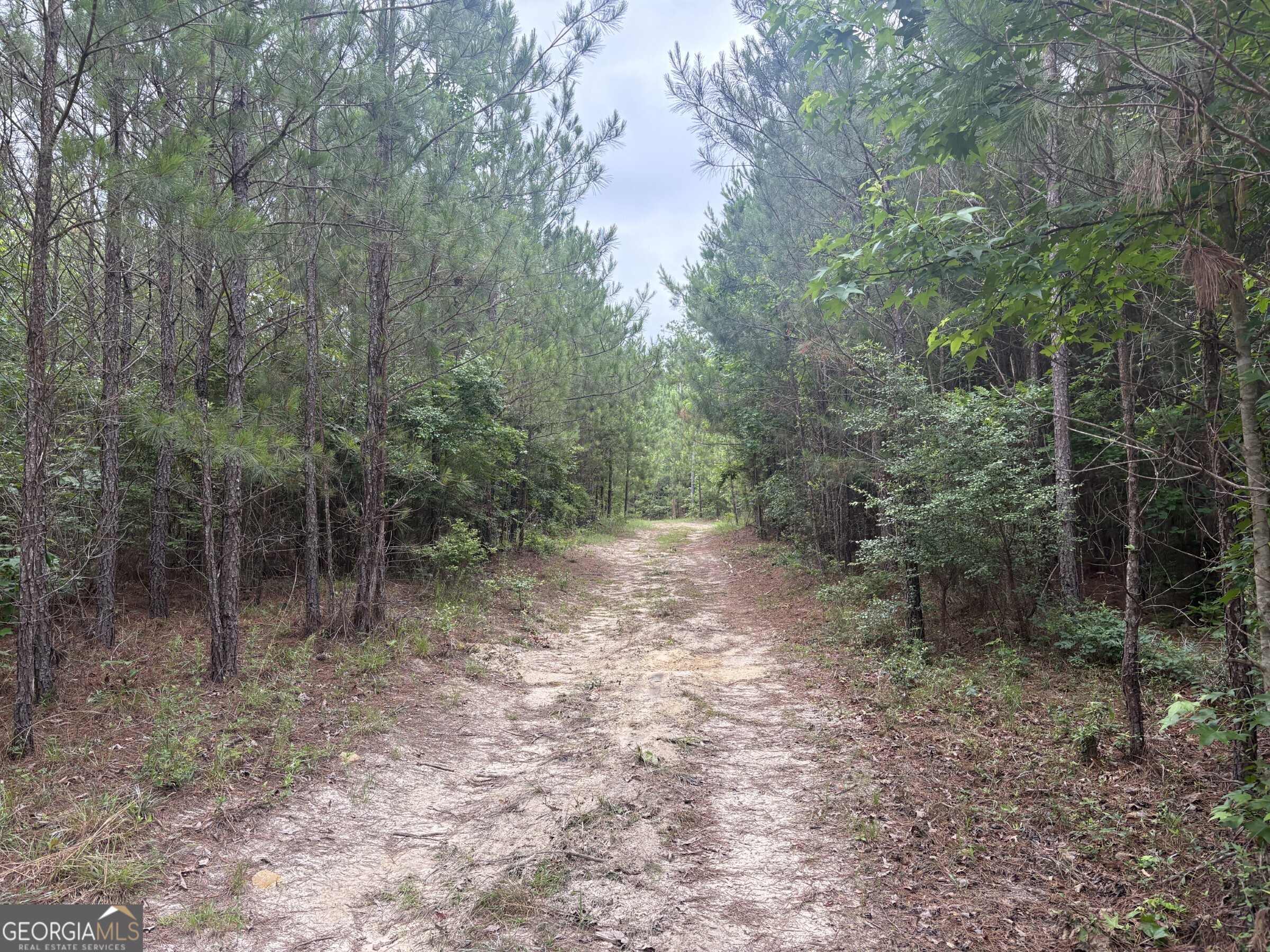 L9 North Indian Trail Road Sandersville, GA 31082 - Photo 13 of 19