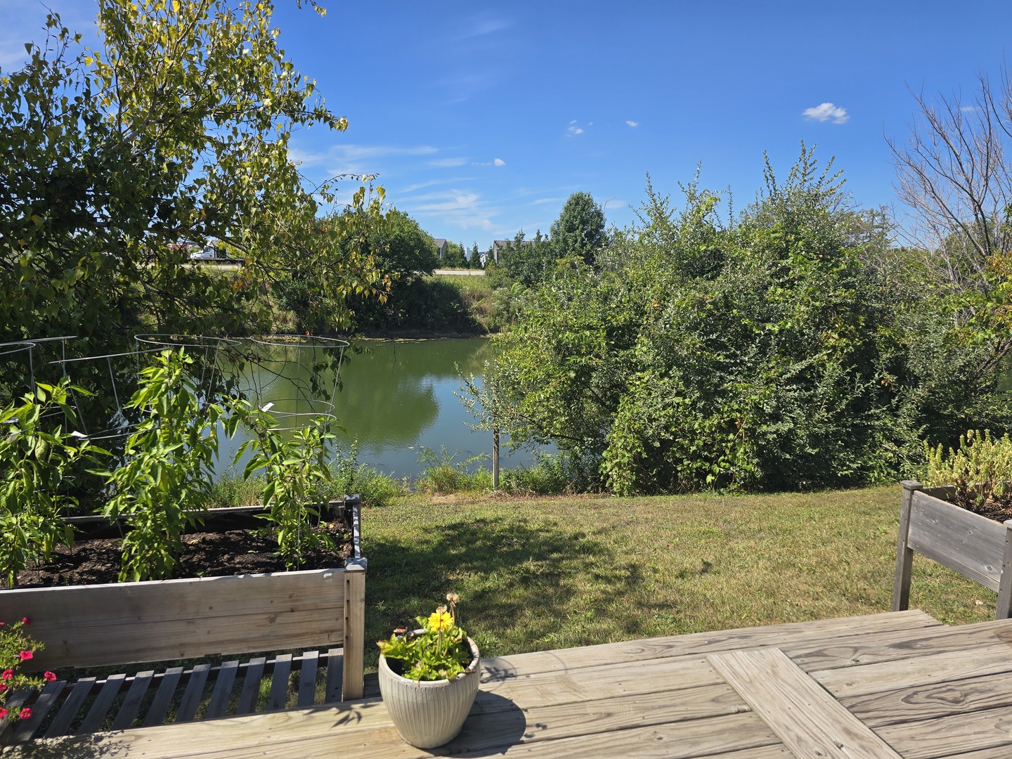 615 Erin Drive Champaign, IL 61822 - Photo 38 of 38