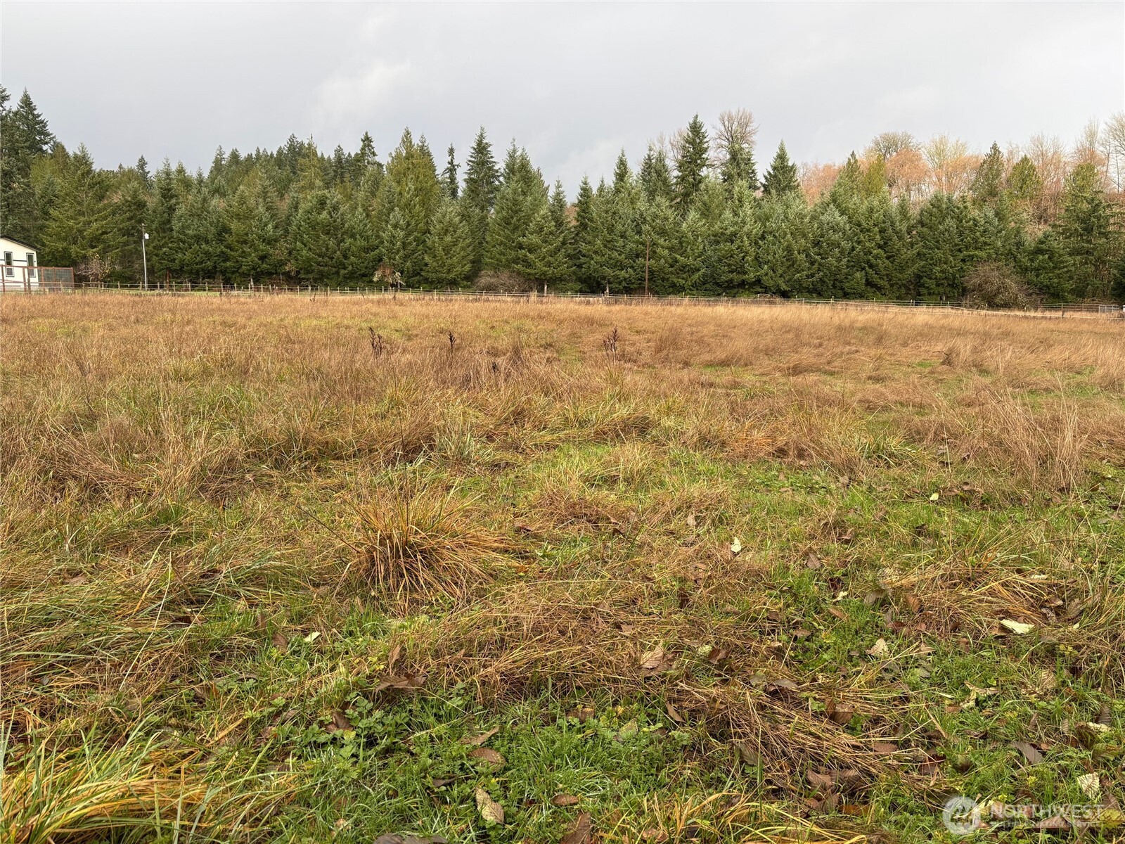 0 Byham Road Winlock, WA 98596 - Photo 5 of 10 Gallery Image 5
