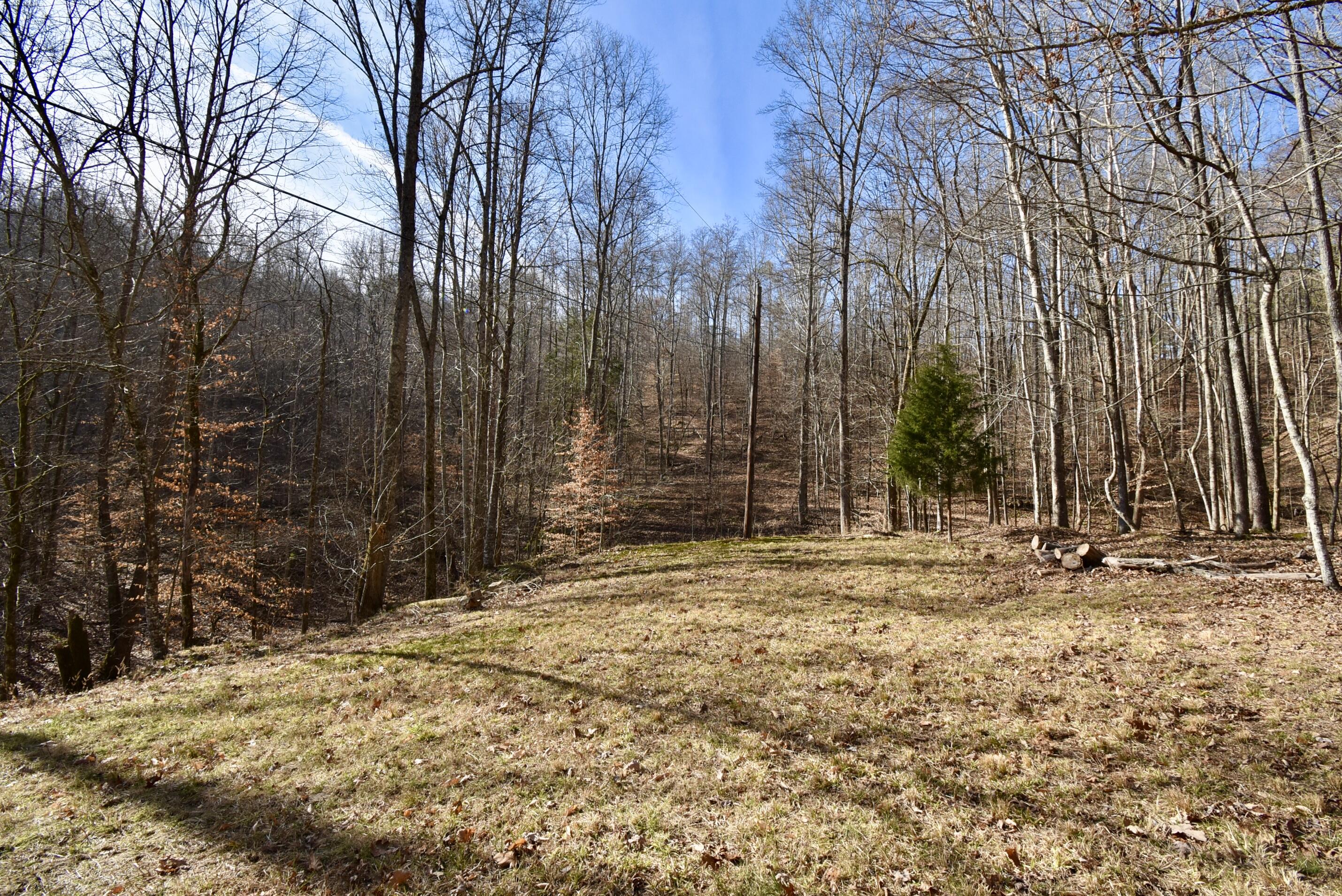 475 Harmon Road Somerset, KY 42501 - Photo 19 of 48 5B041123-74EB-427D-ACE2-4FE27E42129F_1_2
