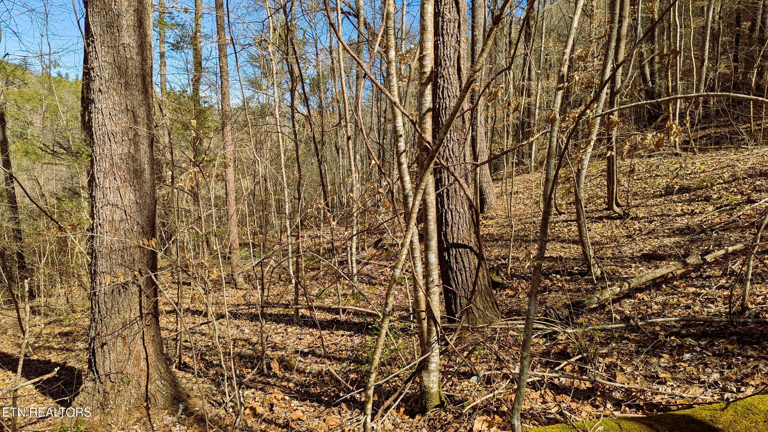 14 Acres Road Townsend, TN 37882 - Photo 11 of 13 Other building area's