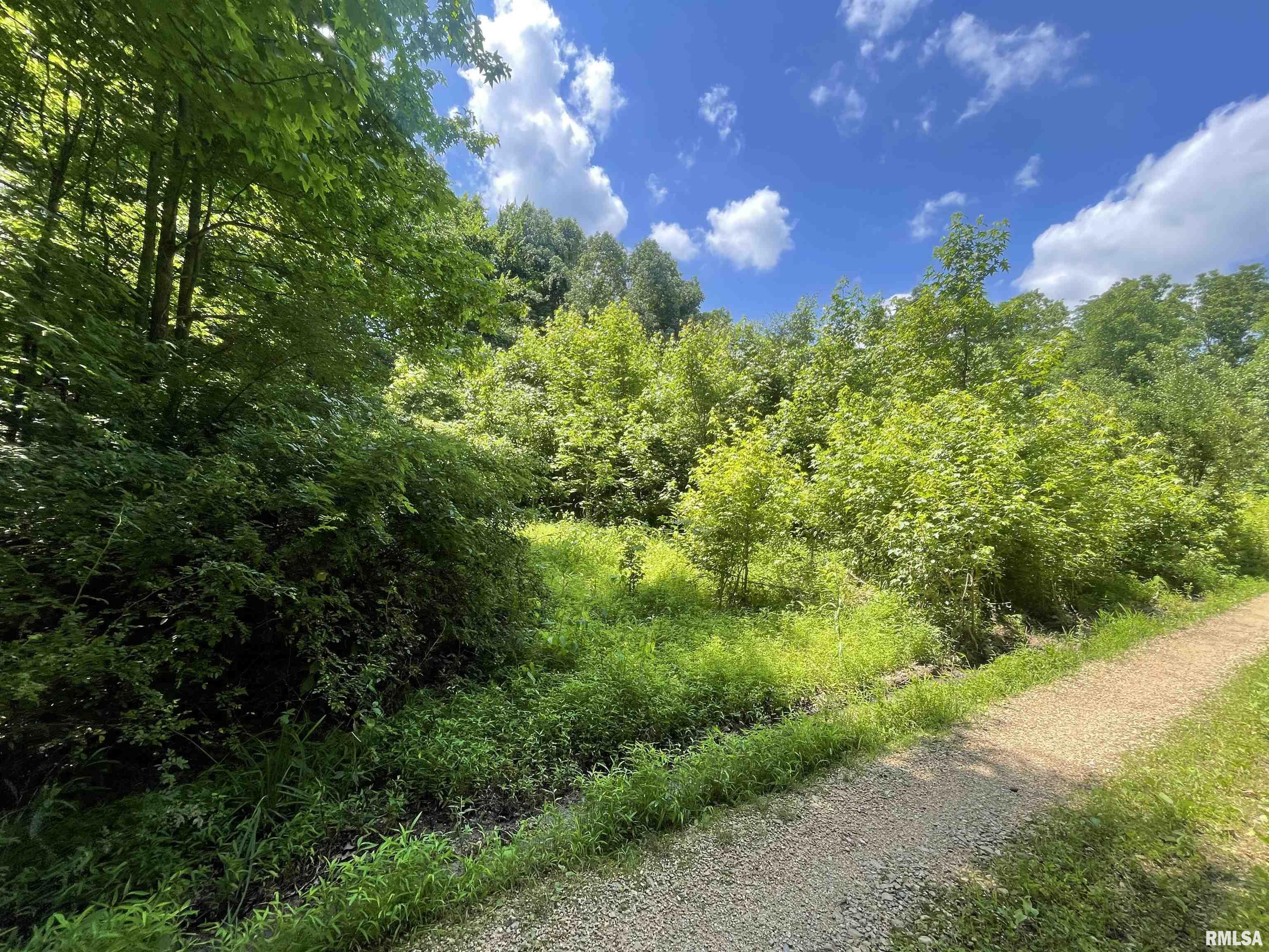 5 River Rock Road Murphysboro, IL 62966 - Photo 1 of 9