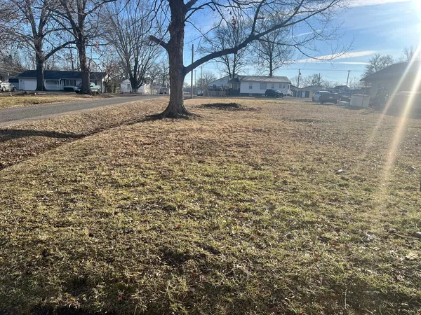 a view of yard with tree