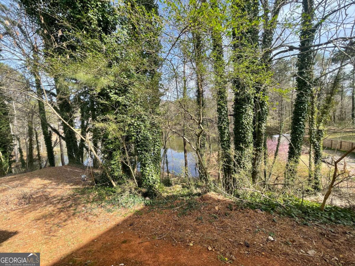 1374 To Lani Farm Road Stone Mountain, GA 30083 - Photo 18 of 18 a view of a yard with plants and trees