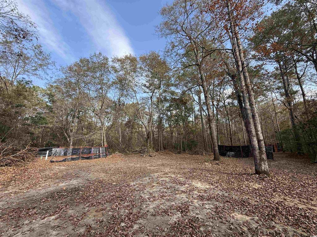 7262 North Brewington Road Alcolu, SC 29001 - Photo 4 of 8 Gallery Image 4