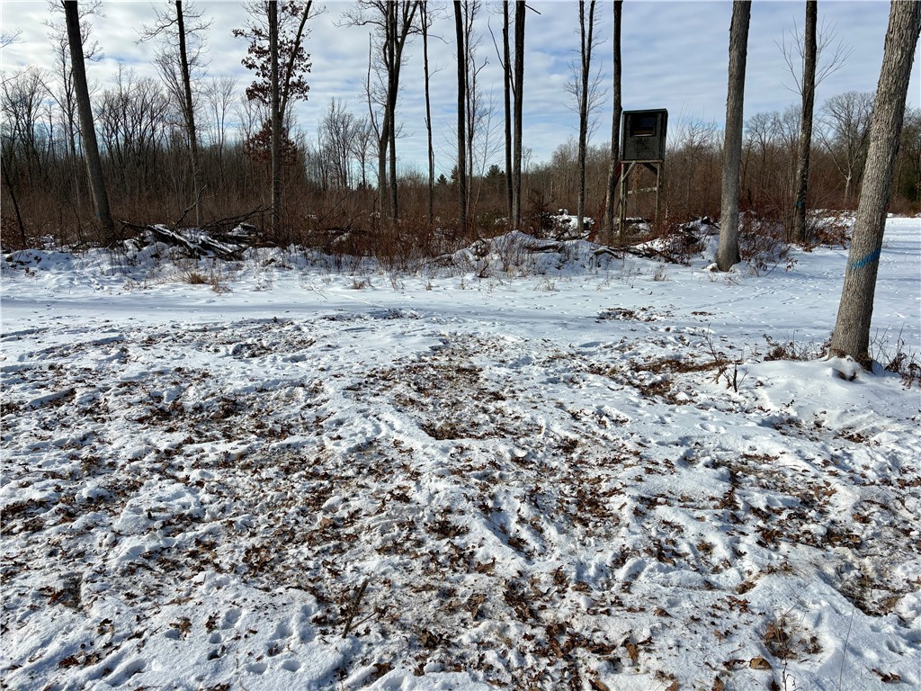 0 Sherwood Road Granton, WI 54436 - Photo 50 of 59