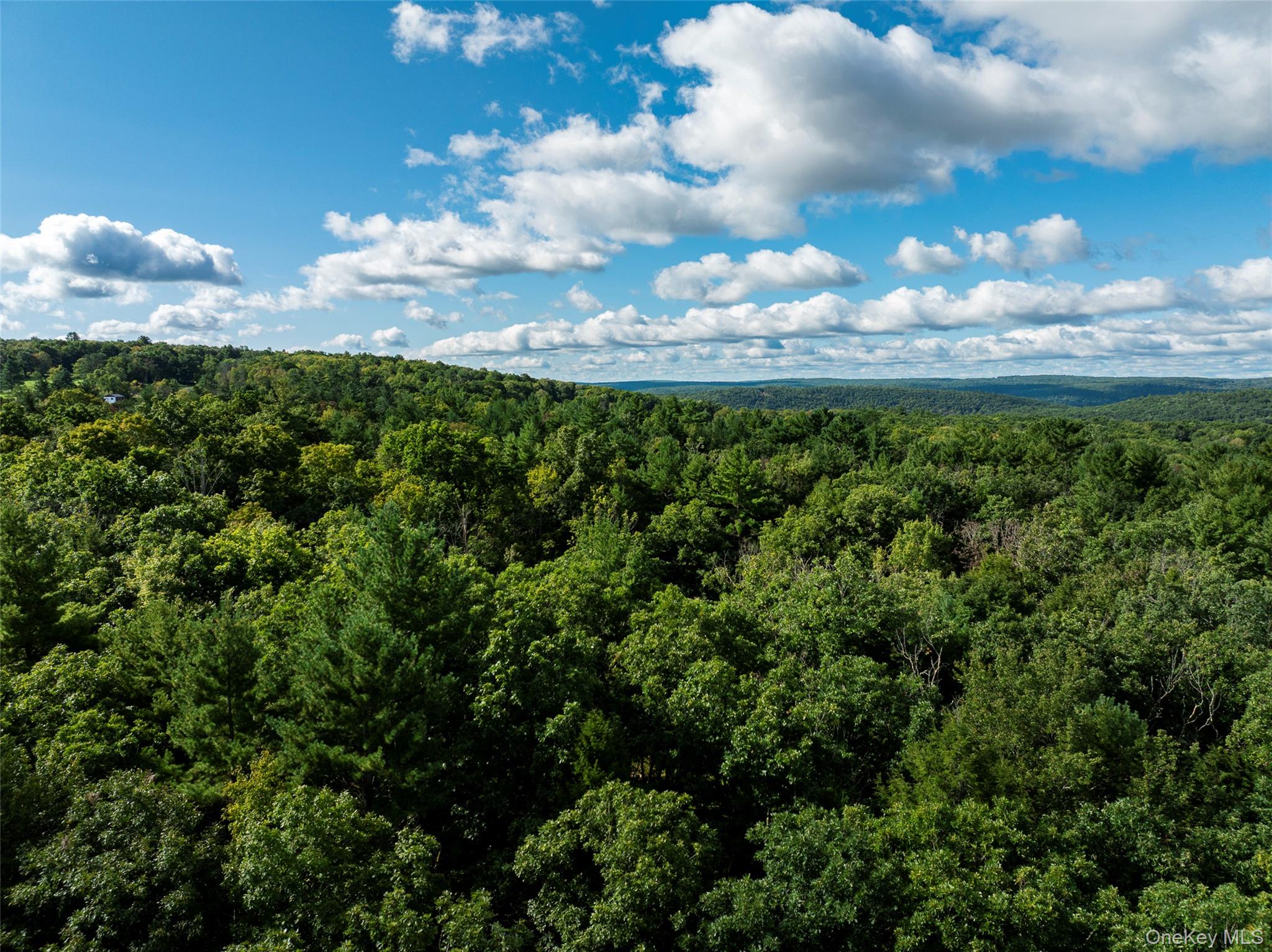 83 Perry Pond Road Narrowsburg, NY 12764 - Photo 12 of 14 Gallery Image 12