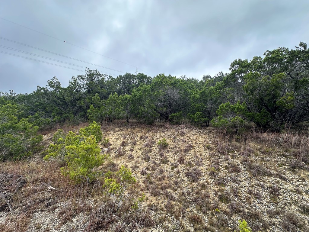 a big yard with lots of green space and fog