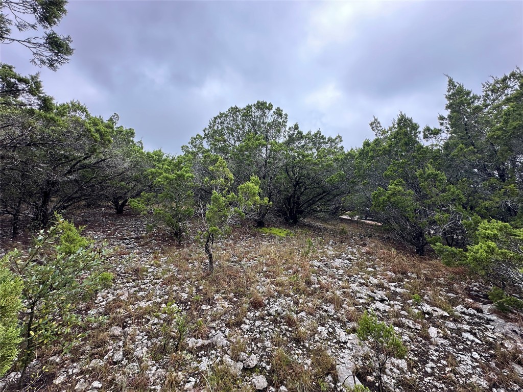 20600 Trinity Cove Lago Vista, TX 78645 - Photo 2 of 17 a backyard of a house with lots of plants and trees