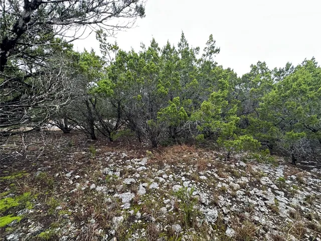 a big yard with lots of green space