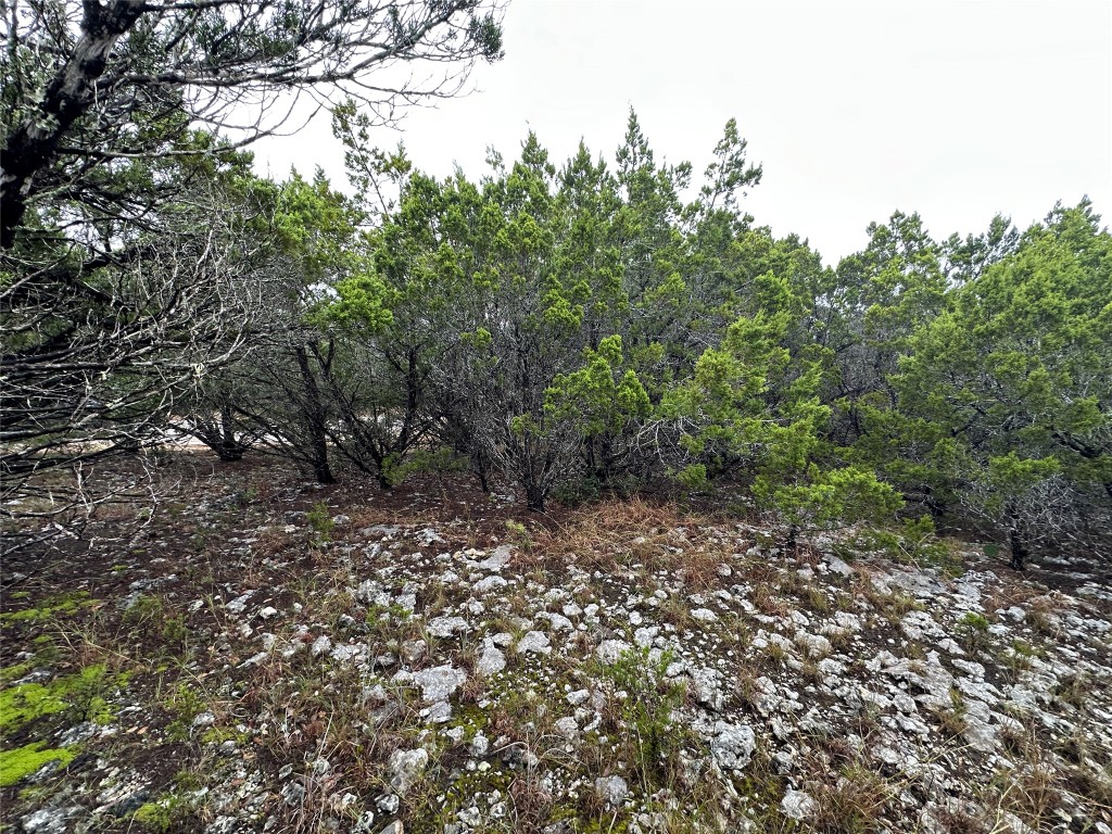 20600 Trinity Cove Lago Vista, TX 78645 - Photo 3 of 17 a big yard with lots of green space