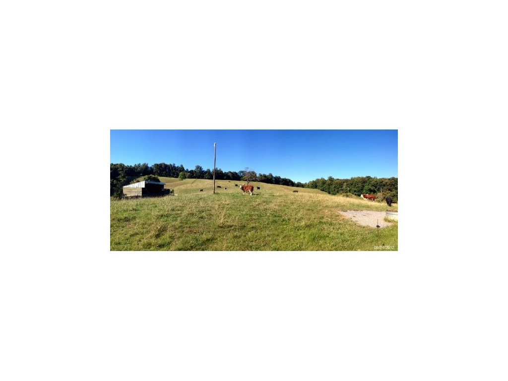 2223 Island Road Blountville, TN 37617 - Photo 15 of 25 Photo 15
