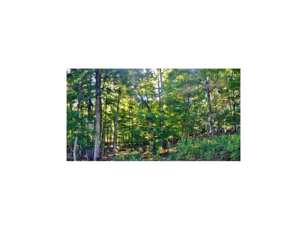 2223 Island Road Blountville, TN 37617 - Photo 17 of 25 Photo 17