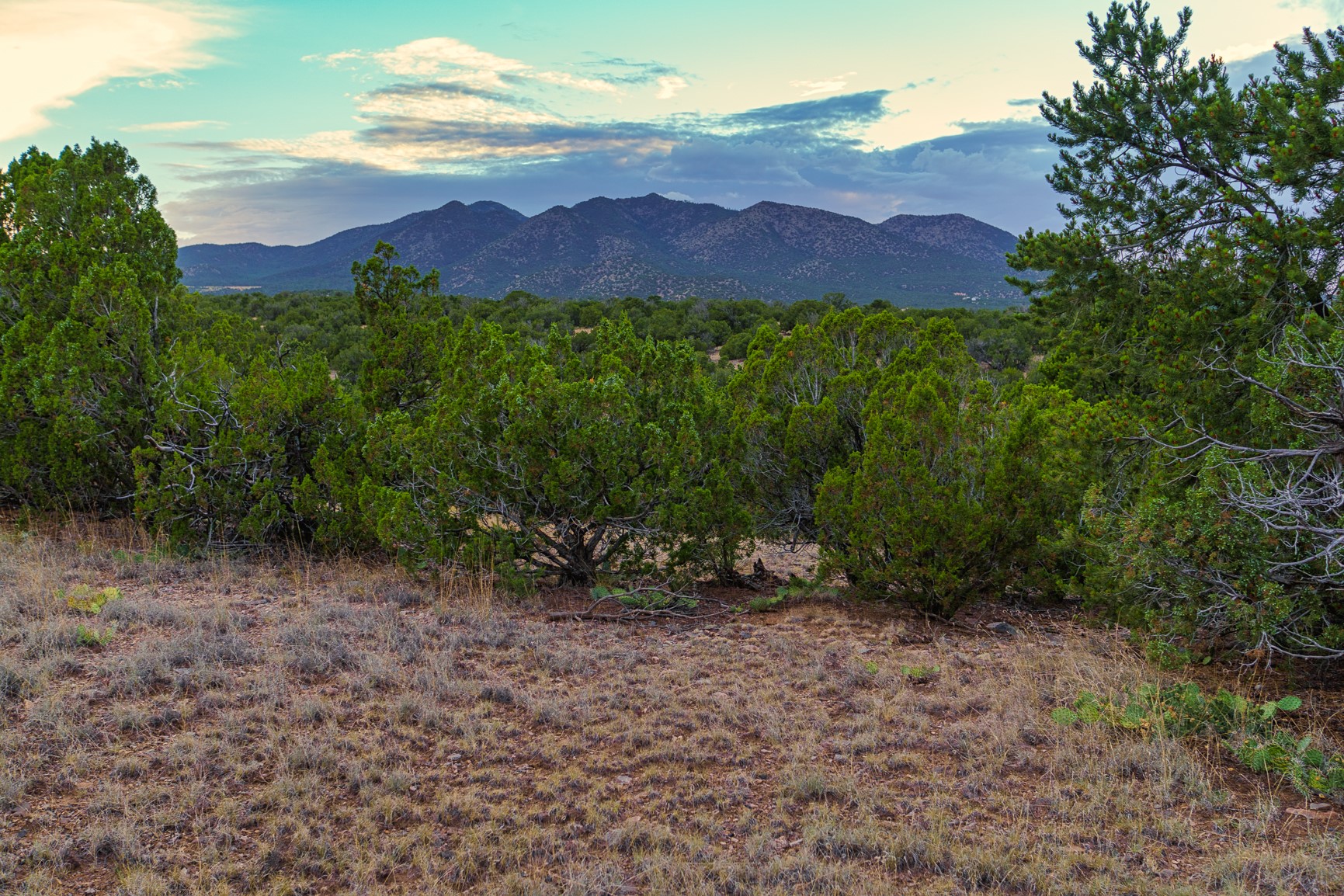 176 Wagon Trail Road Cerrillos, NM 87010 - Photo 1 of 35