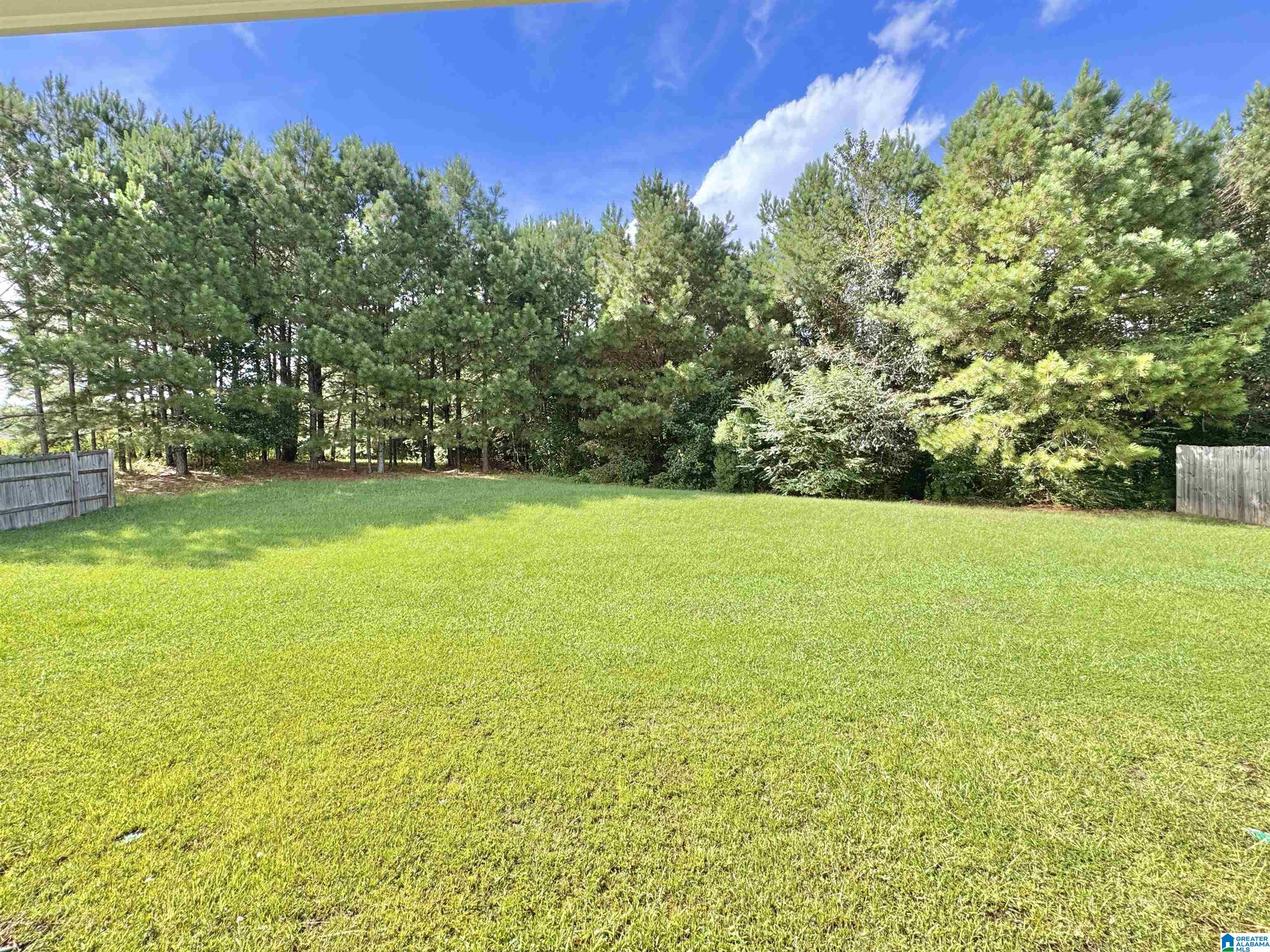 809 Huntington Trace Chelsea, AL 35043 - Photo 61 of 75