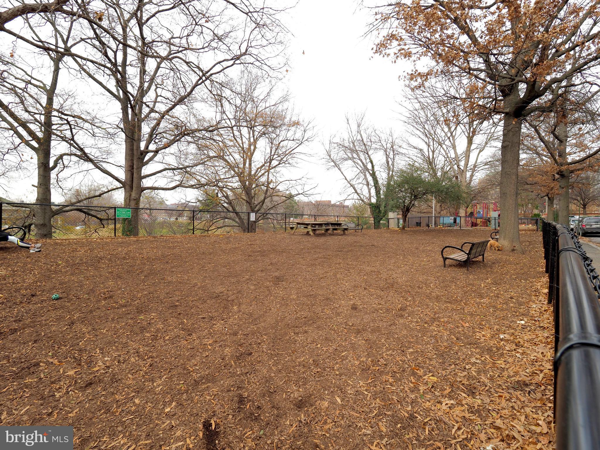 955 26th Street Northwest, Unit 610 Washington, DC 20037 - Photo 5 of 30 Dog park in front of building
