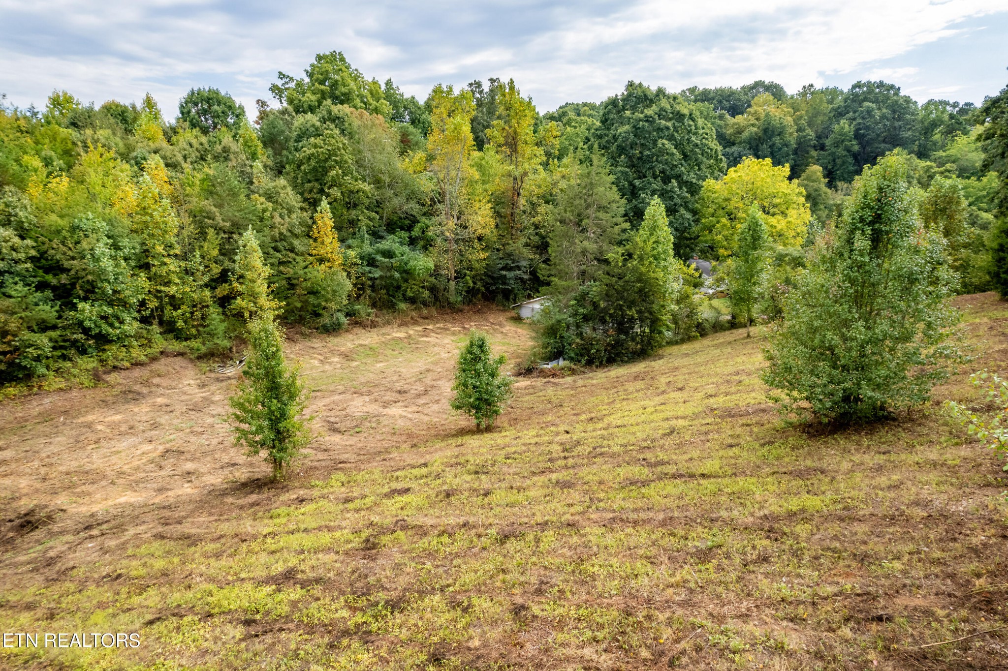 234 South Union Grove Road Friendsville, TN 37737 - Photo 20 of 22